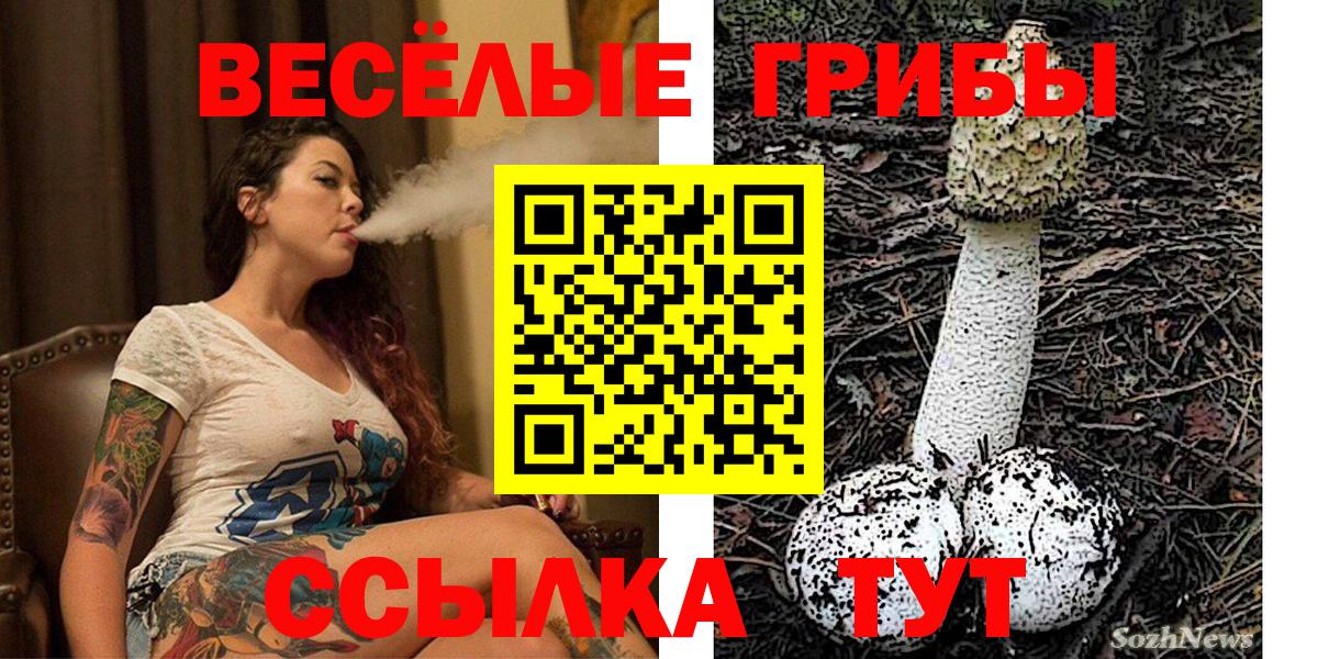 купить закладку  Псилоцибиновые грибы GOLDEN TEACHER  Вход с VPN  Бугуруслан  Галлюциногенные грибы мухоморы 